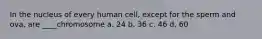 In the nucleus of every human cell, except for the sperm and ova, are ____chromosome a. 24 b. 36 c. 46 d. 60