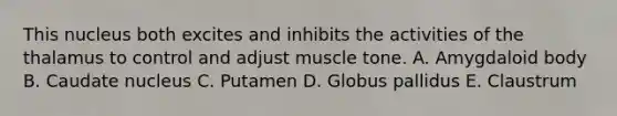 This nucleus both excites and inhibits the activities of the thalamus to control and adjust muscle tone. A. Amygdaloid body B. Caudate nucleus C. Putamen D. Globus pallidus E. Claustrum