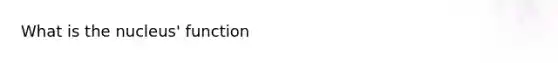 What is the nucleus' function