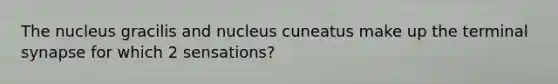 The nucleus gracilis and nucleus cuneatus make up the terminal synapse for which 2 sensations?