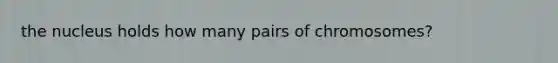 the nucleus holds how many pairs of chromosomes?