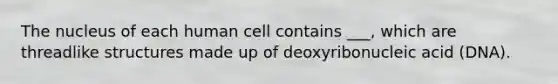 The nucleus of each human cell contains ___, which are threadlike structures made up of deoxyribonucleic acid (DNA).