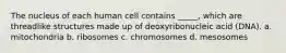 The nucleus of each human cell contains _____, which are threadlike structures made up of deoxyribonucleic acid (DNA). a. mitochondria b. ribosomes c. chromosomes d. mesosomes