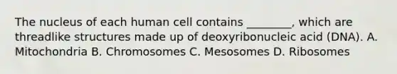 The nucleus of each human cell contains ________, which are threadlike structures made up of deoxyribonucleic acid (DNA). A. Mitochondria B. Chromosomes C. Mesosomes D. Ribosomes