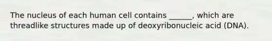 The nucleus of each human cell contains ______, which are threadlike structures made up of deoxyribonucleic acid (DNA).