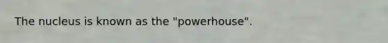 The nucleus is known as the "powerhouse".