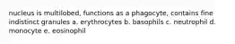 nucleus is multilobed, functions as a phagocyte, contains fine indistinct granules a. erythrocytes b. basophils c. neutrophil d. monocyte e. eosinophil