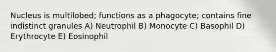 Nucleus is multilobed; functions as a phagocyte; contains fine indistinct granules A) Neutrophil B) Monocyte C) Basophil D) Erythrocyte E) Eosinophil