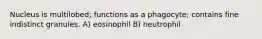 Nucleus is multilobed; functions as a phagocyte; contains fine indistinct granules. A) eosinophil B) neutrophil