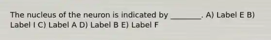 The nucleus of the neuron is indicated by ________. A) Label E B) Label I C) Label A D) Label B E) Label F