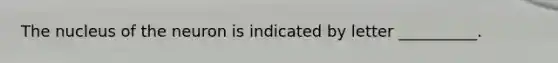 The nucleus of the neuron is indicated by letter __________.