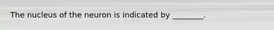 The nucleus of the neuron is indicated by ________.