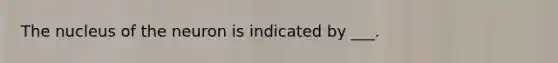 The nucleus of the neuron is indicated by ___.