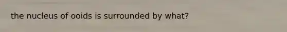 the nucleus of ooids is surrounded by what?