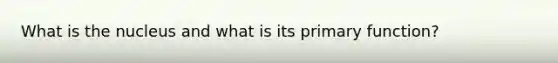 What is the nucleus and what is its primary function?