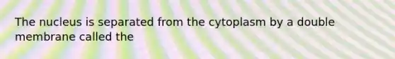 The nucleus is separated from the cytoplasm by a double membrane called the