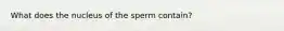 What does the nucleus of the sperm contain?