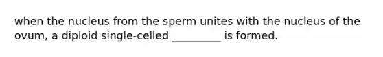 when the nucleus from the sperm unites with the nucleus of the ovum, a diploid single-celled _________ is formed.