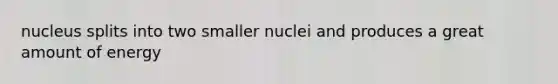 nucleus splits into two smaller nuclei and produces a great amount of energy