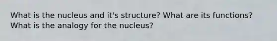 What is the nucleus and it's structure? What are its functions? What is the analogy for the nucleus?