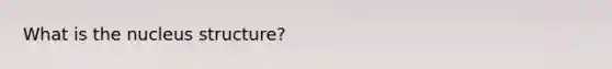What is the nucleus structure?