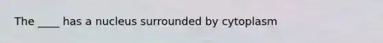 The ____ has a nucleus surrounded by cytoplasm