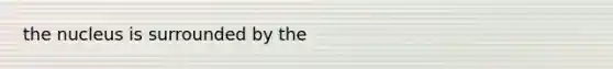 the nucleus is surrounded by the