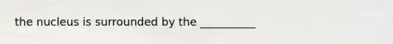 the nucleus is surrounded by the __________