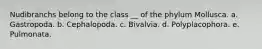 Nudibranchs belong to the class __ of the phylum Mollusca. a. Gastropoda. b. Cephalopoda. c. Bivalvia. d. Polyplacophora. e. Pulmonata.