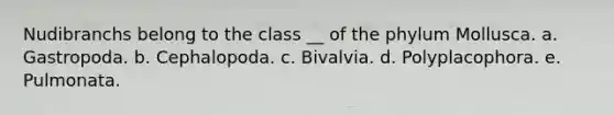 Nudibranchs belong to the class __ of the phylum Mollusca. a. Gastropoda. b. Cephalopoda. c. Bivalvia. d. Polyplacophora. e. Pulmonata.