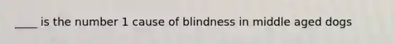 ____ is the number 1 cause of blindness in middle aged dogs