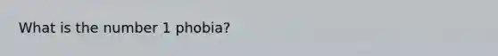 What is the number 1 phobia?