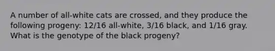 A number of all-white cats are crossed, and they produce the following progeny: 12/16 all-white, 3/16 black, and 1/16 gray. What is the genotype of the black progeny?