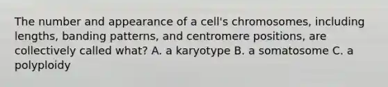 The number and appearance of a cell's chromosomes, including lengths, banding patterns, and centromere positions, are collectively called what? A. a karyotype B. a somatosome C. a polyploidy