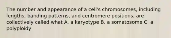 The number and appearance of a cell's chromosomes, including lengths, banding patterns, and centromere positions, are collectively called what A. a karyotype B. a somatosome C. a polyploidy