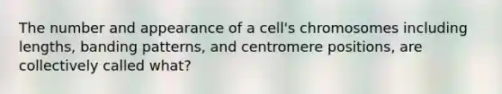 The number and appearance of a cell's chromosomes including lengths, banding patterns, and centromere positions, are collectively called what?