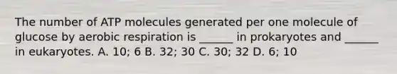 The number of ATP molecules generated per one molecule of glucose by aerobic respiration is ______ in prokaryotes and ______ in eukaryotes. A. 10; 6 B. 32; 30 C. 30; 32 D. 6; 10