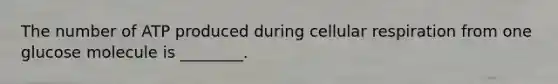 The number of ATP produced during cellular respiration from one glucose molecule is ________.