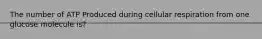 The number of ATP Produced during cellular respiration from one glucose molecule is?