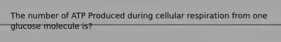 The number of ATP Produced during cellular respiration from one glucose molecule is?