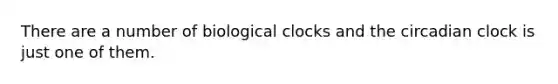 There are a number of biological clocks and the circadian clock is just one of them.