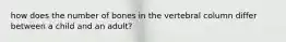 how does the number of bones in the vertebral column differ between a child and an adult?