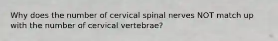 Why does the number of cervical <a href='https://www.questionai.com/knowledge/kyBL1dWgAx-spinal-nerves' class='anchor-knowledge'>spinal nerves</a> NOT match up with the number of cervical vertebrae?