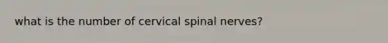 what is the number of cervical <a href='https://www.questionai.com/knowledge/kyBL1dWgAx-spinal-nerves' class='anchor-knowledge'>spinal nerves</a>?