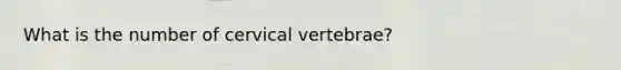 What is the number of cervical vertebrae?