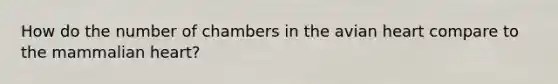 How do the number of chambers in the avian heart compare to the mammalian heart?