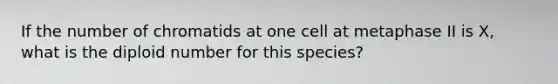 If the number of chromatids at one cell at metaphase II is X, what is the diploid number for this species?