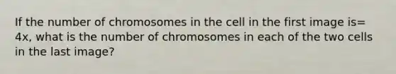 If the number of chromosomes in the cell in the first image is= 4x, what is the number of chromosomes in each of the two cells in the last image?