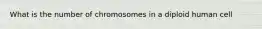 What is the number of chromosomes in a diploid human cell