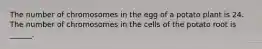 The number of chromosomes in the egg of a potato plant is 24. The number of chromosomes in the cells of the potato root is ______.